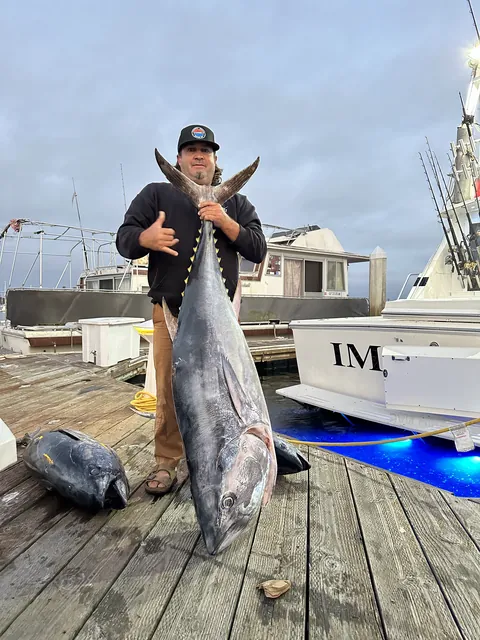 An angler with an enormous bluefin tuna dockside.