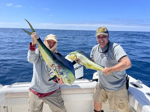 Two anglers holding bright dorado offshore.