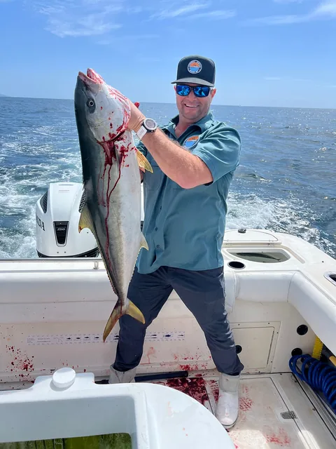 A grinning angler with a chunky yellowtail as the boat runs home.