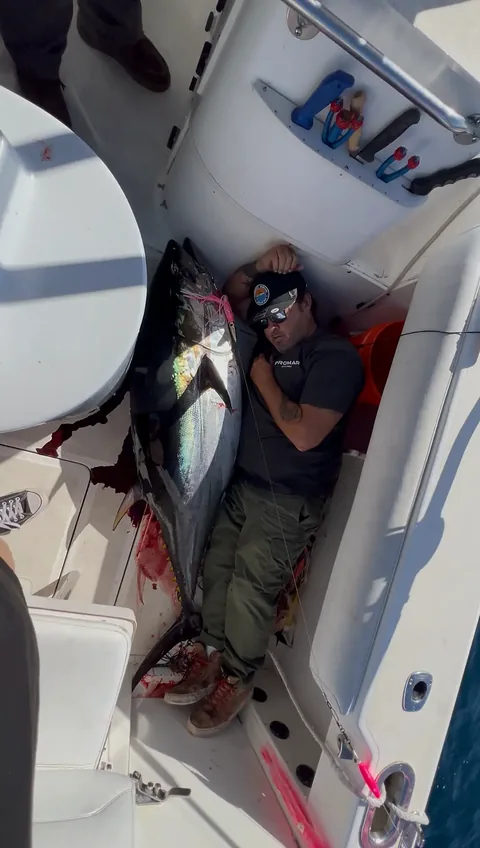An angler laid out next to a bluefin tuna nearly as long as he is tall.