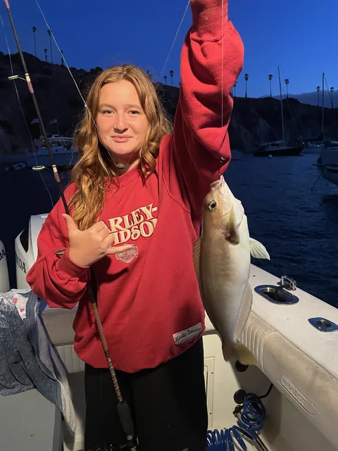 Young angler in a red sweatshirt holding a whitefish at anchor near the island.