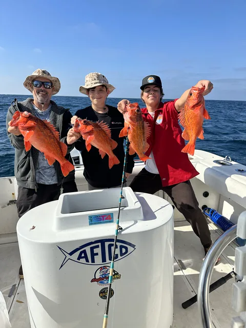 Three anglers holding a spread of red rockfish at the rail.
