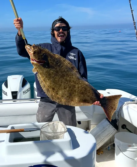 A deckhand lifting a broad California halibut aboard.