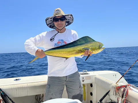 Angler in a straw hat holding a bright dorado on the deck.