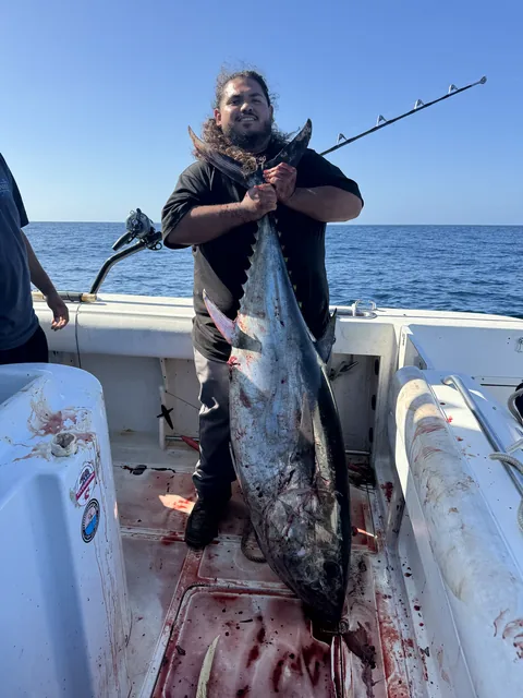 A deckhand hoisting a heavy bluefin tuna in the Kate Elizabeth's cockpit.