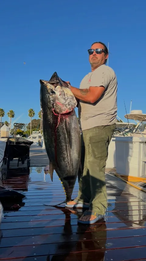 A heavy bluefin held up beside the Kate Elizabeth.