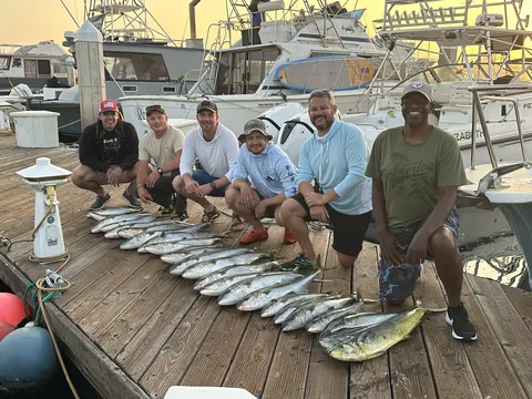 Crew kneeling behind a long dock layout of yellowtail and dorado at sunset.