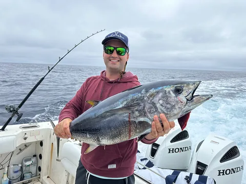 Angler holding a bluefin tuna beside the white Honda outboards.