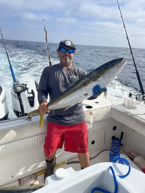 Angler holding a yellowtail in the cockpit with the wake behind the boat.
