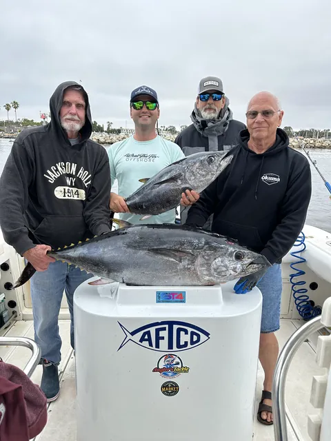 Anglers with bluefin tuna packed into the fish box.
